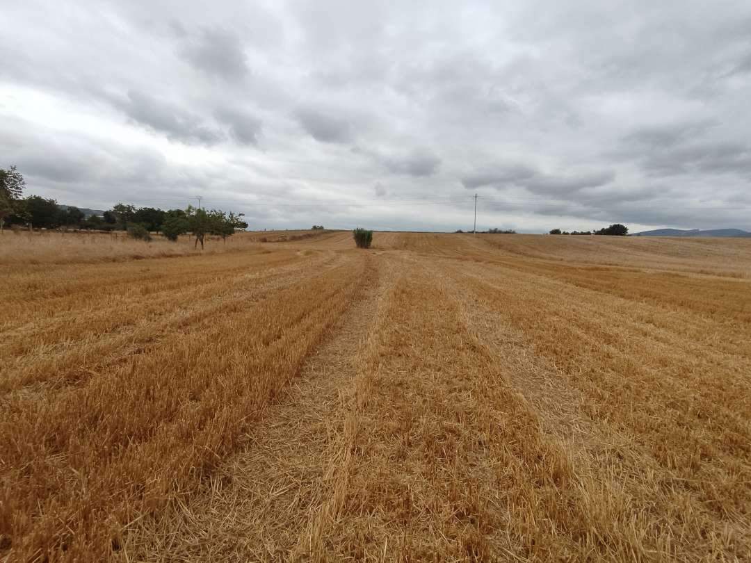 terreno en venta en merindad de cuesta urria